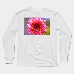 Close-up of powder puff dahlia Long Sleeve T-Shirt